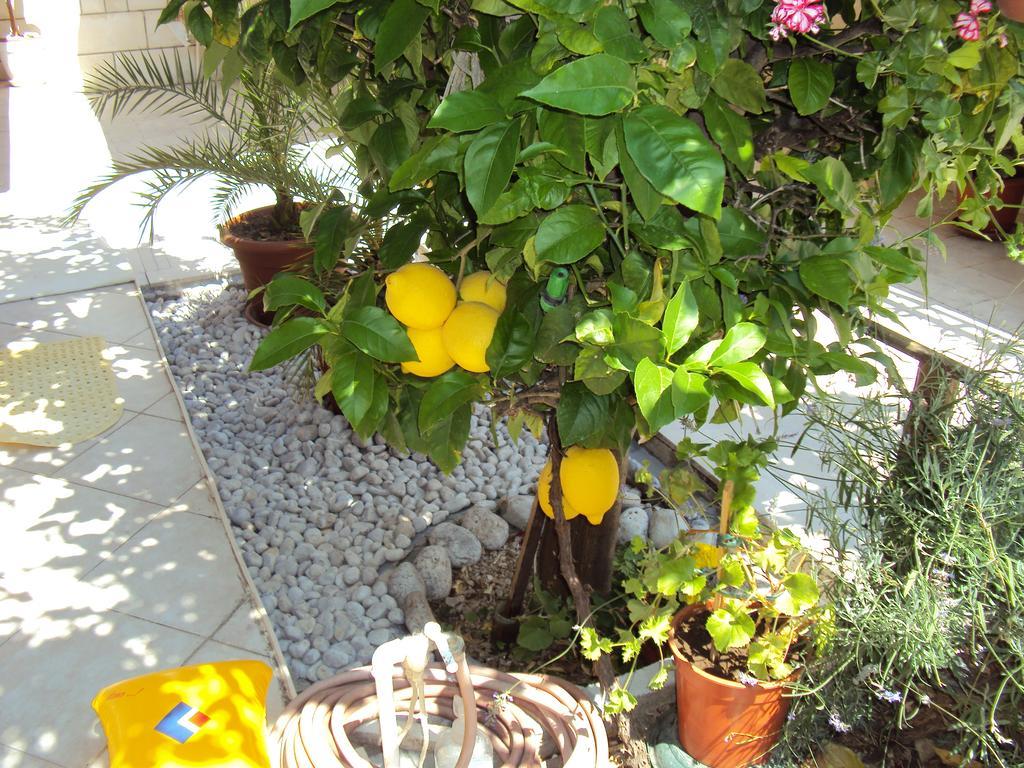Apartment Lemon Ragusa Esterno foto